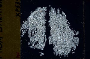 Cross Polarized, S45848