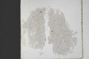 Plane Polarized, S45848