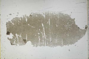 Plane Polarized, S45849