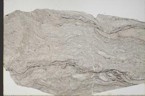 Plane Polarized, S45872