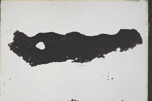 Plane Polarized, S45883