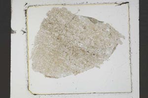 Plane Polarized, S45891