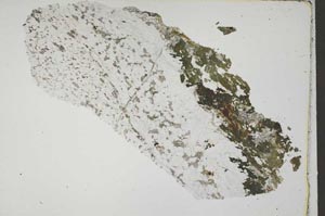 Plane Polarized, S45921