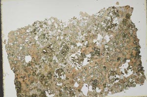 Plane Polarized, S45923