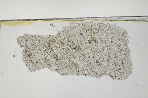 Plane Polarized, S45925