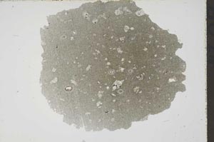 Plane Polarized, S46014