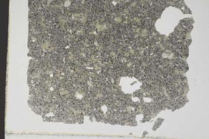 Plane Polarized, S46022