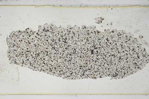 Plane Polarized, S46023