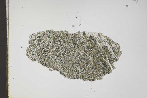 Plane Polarized, S46048