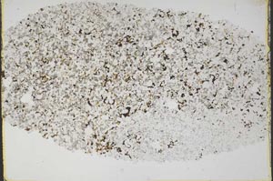 Plane Polarized, S46049