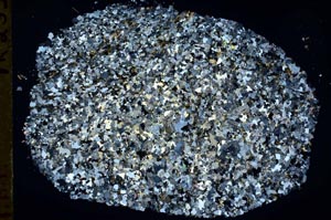 Cross Polarized, S46050