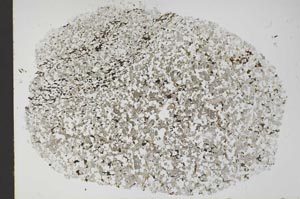 Plane Polarized, S46050