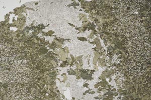 Plane Polarized, S46058/A