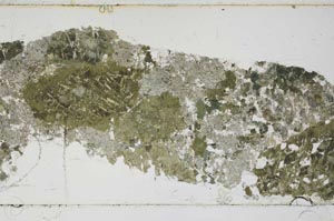 Plane Polarized, S46064
