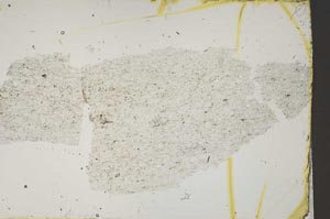 Plane Polarized, S46093