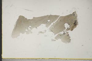 Plane Polarized, S46151