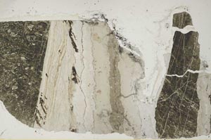 Plane Polarized, S46152