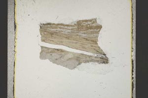 Plane Polarized, S46153