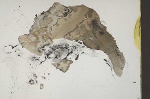 Plane Polarized, S46154