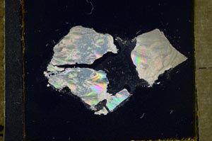 Cross Polarized, S46154/A