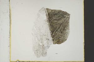 Plane Polarized, S46156