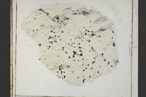 Plane Polarized, S46157