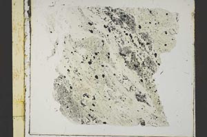 Plane Polarized, S46158