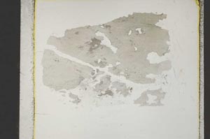 Plane Polarized, S46159
