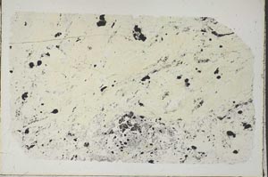 Plane Polarized, S46160
