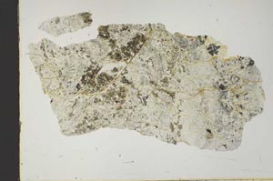 Plane Polarized, S46161