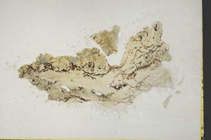Plane Polarized, S46165