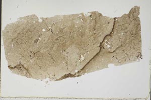 Plane Polarized, S46178