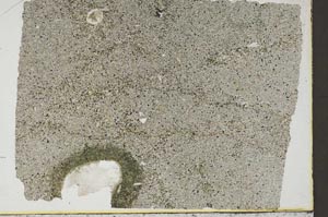 Plane Polarized, S46189