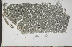 Plane Polarized, S46190