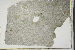 Plane Polarized, S46191