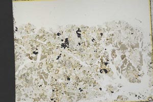 Plane Polarized, S46197