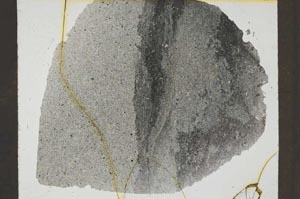 Plane Polarized, S46203