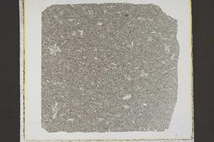 Plane Polarized, S46204