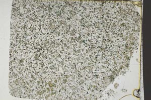 Plane Polarized, S46205