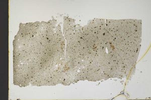 Plane Polarized, S46212
