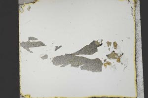 Plane Polarized, S46224/A