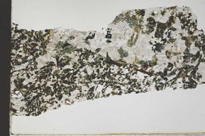 Plane Polarized, S46242