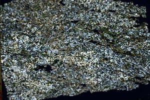Cross Polarized, S46254
