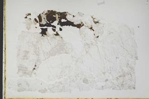 Plane Polarized, S46263