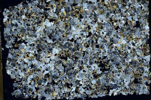 Cross Polarized, S46272