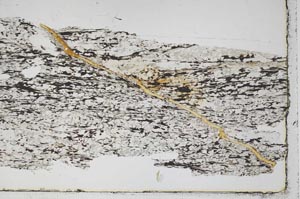 Plane Polarized, S46278