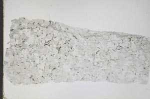 Plane Polarized, S46290