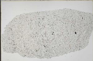 Plane Polarized, S46291