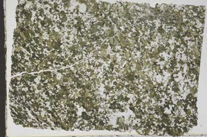 Plane Polarized, S46293