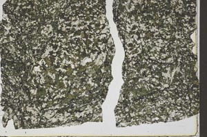 Plane Polarized, S46294